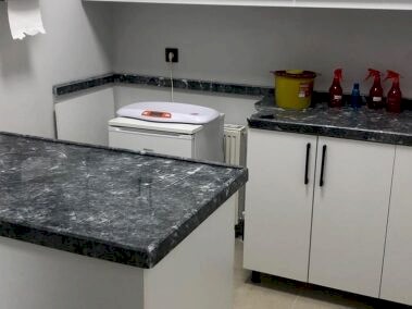 Özel Çayyolu Hayvan Hastanesi - Ankara Hayvan Hastanesi