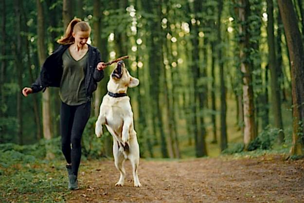 Portrait of a woman with her beautiful dog